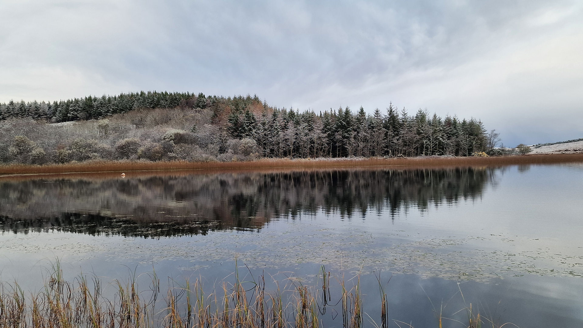 Wintery Lake Reflections in the Early Morning Light
