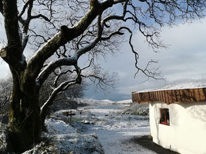 A Snowy Winter Wonderland
