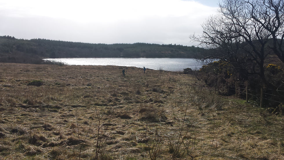 Eco, Tree Planting, Ireland