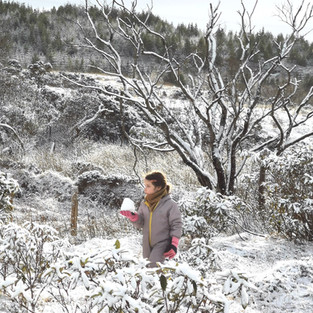 Snowy Bog, Nature's Playground, Family Glamping Ireland