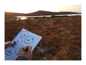 Yurts ordered - now where to position them!