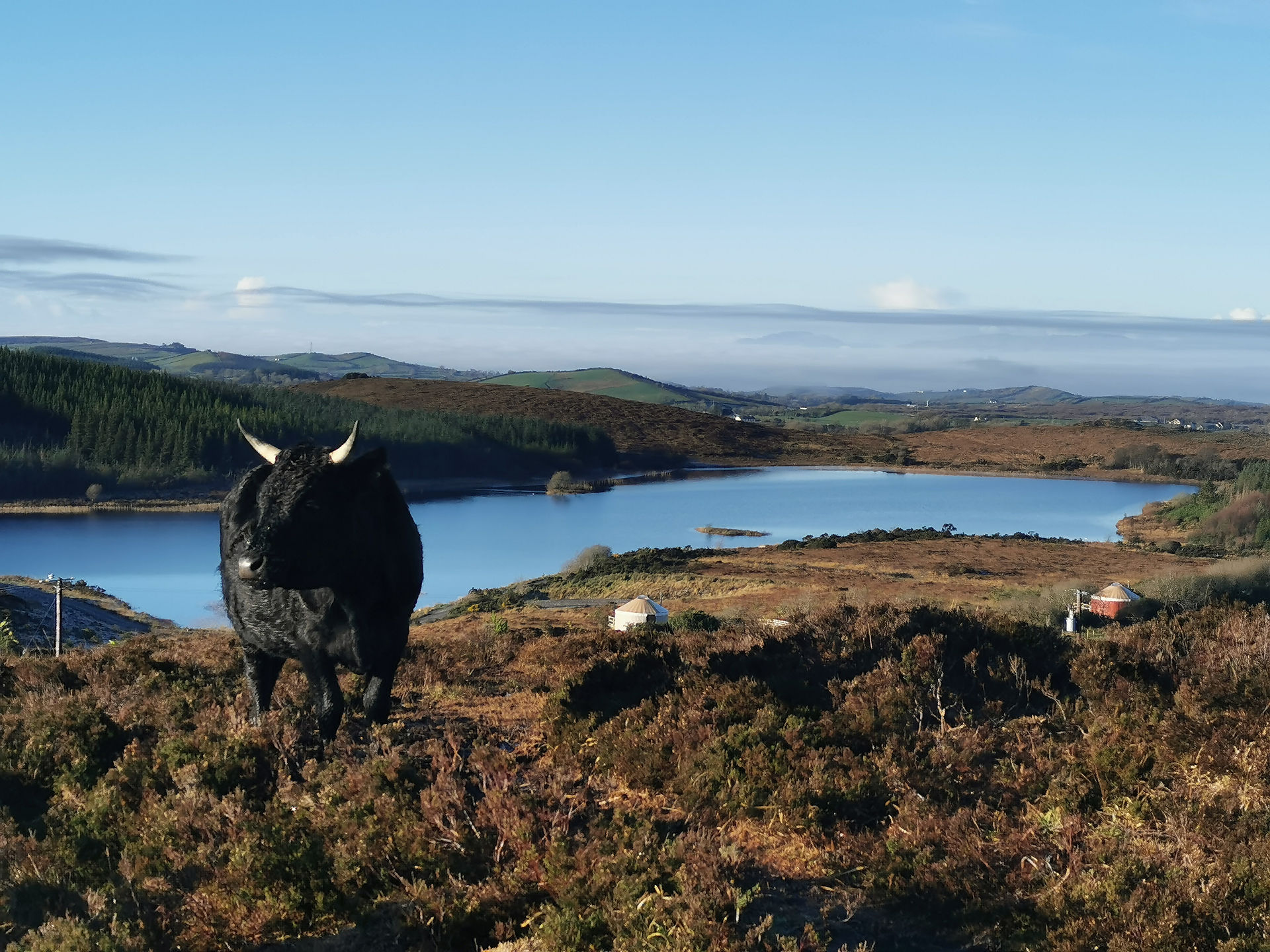 Organic Certified, Organic Farm, Glamping Ireland
