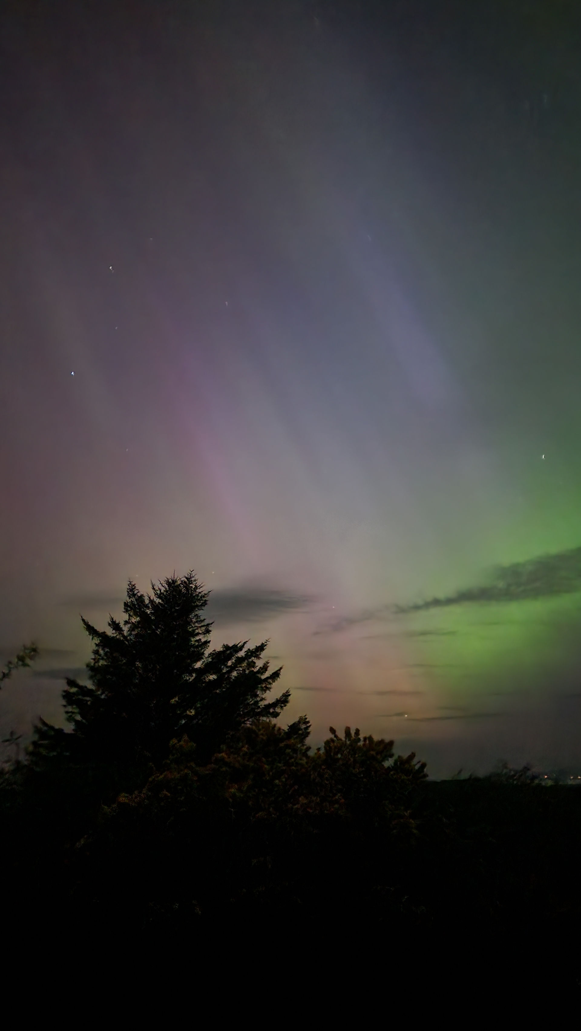 Northern Lights Overhead