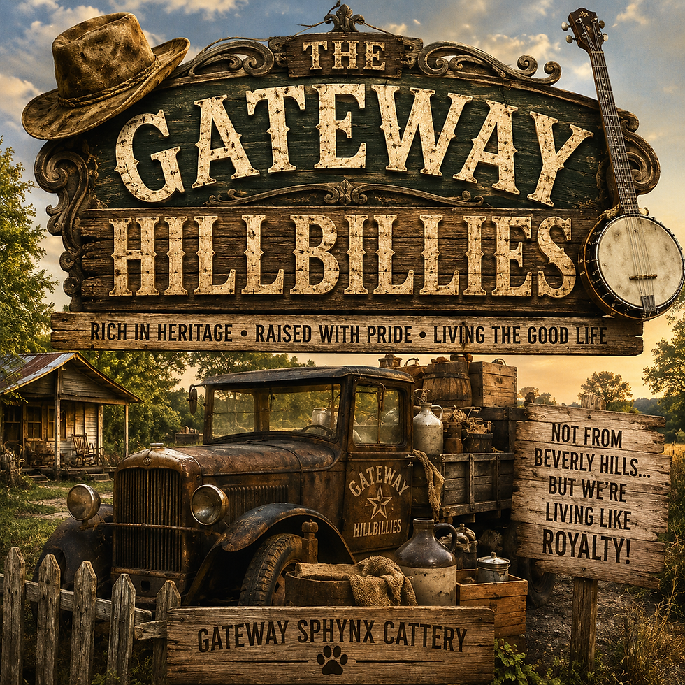 The Gateway Hillbillies
