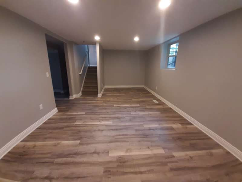 Basement finsishing and remodel