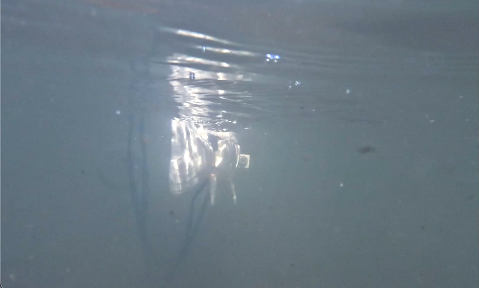 Screenshot 2026-03-05 at 3.56.37 PM.png