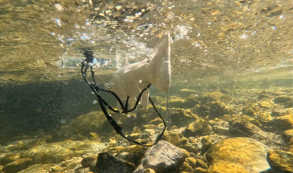 Screenshot 2026-03-05 at 3.56.44 PM.png