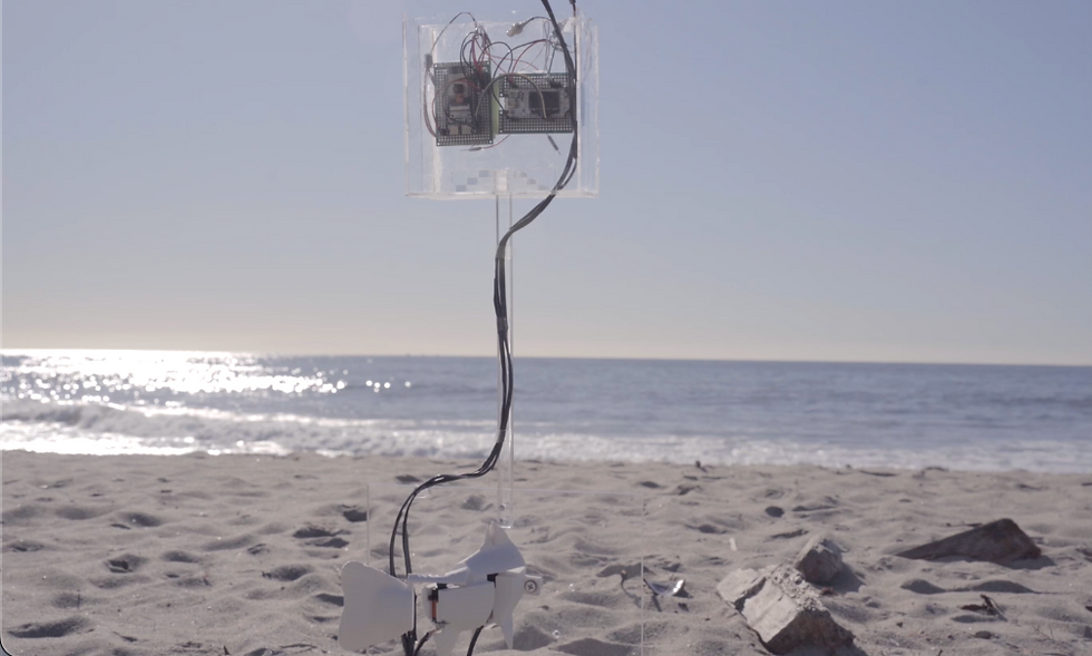 Screenshot 2026-03-05 at 3.55.35 PM.png