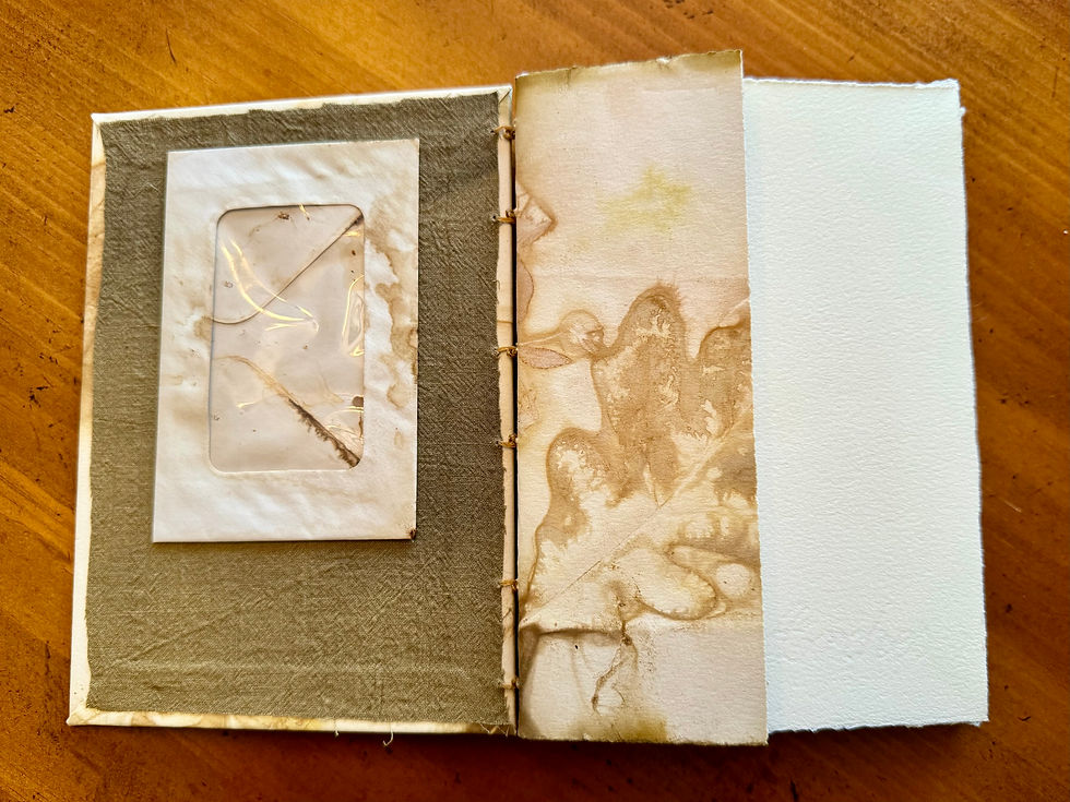 Thumbnail: EcoDyed Journal w/Gold Leaf