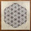 Thumbnail: Flower of Life