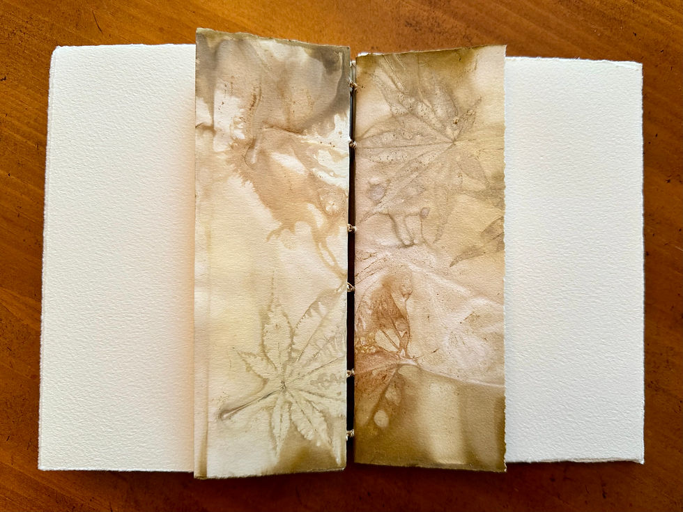 Thumbnail: EcoDyed Journal w/Gold Leaf