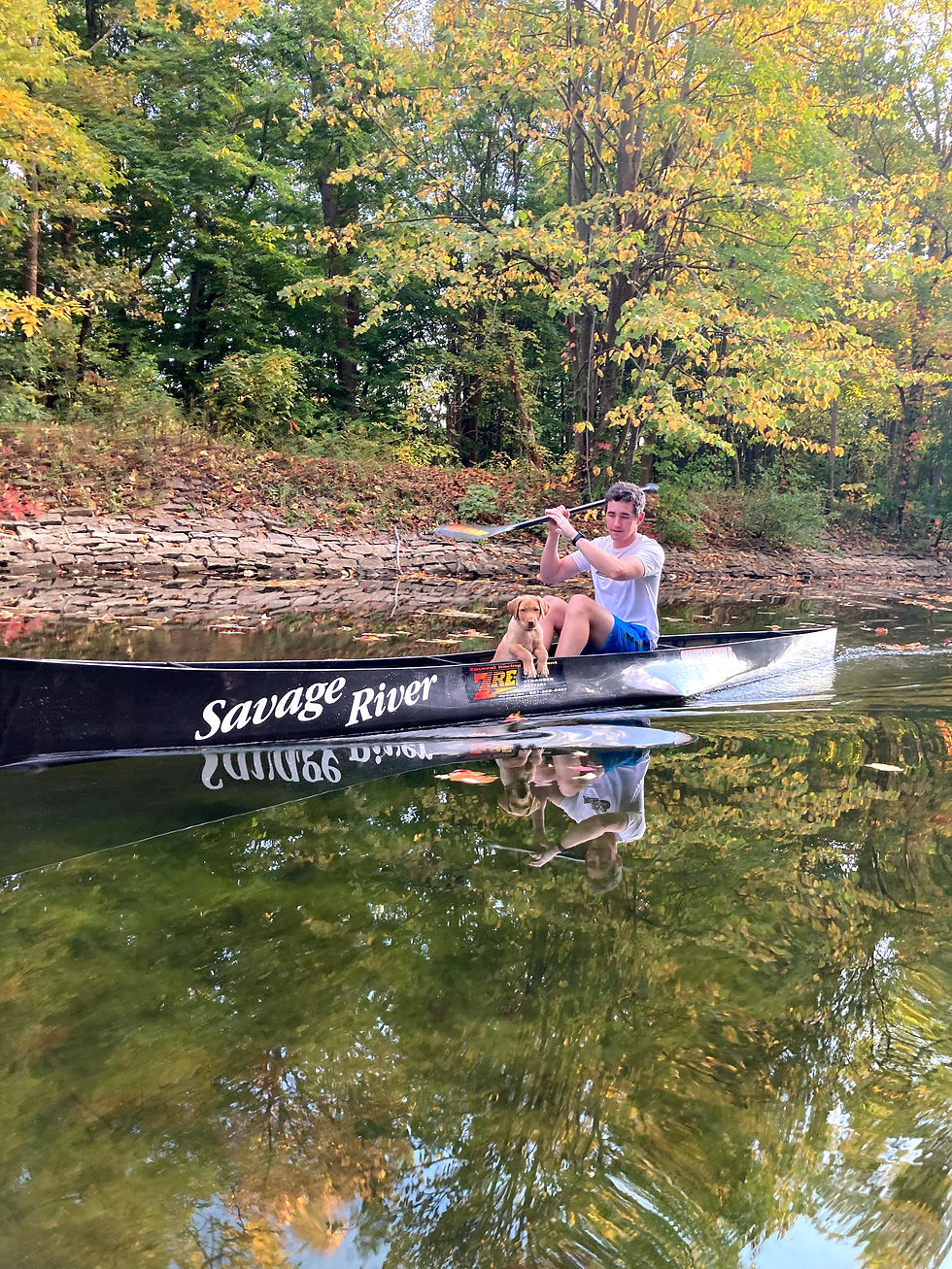 #dogpaddle