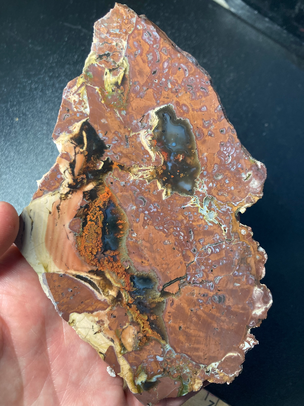 Rare Muggins Mountain plume agate slab - 76 gram
