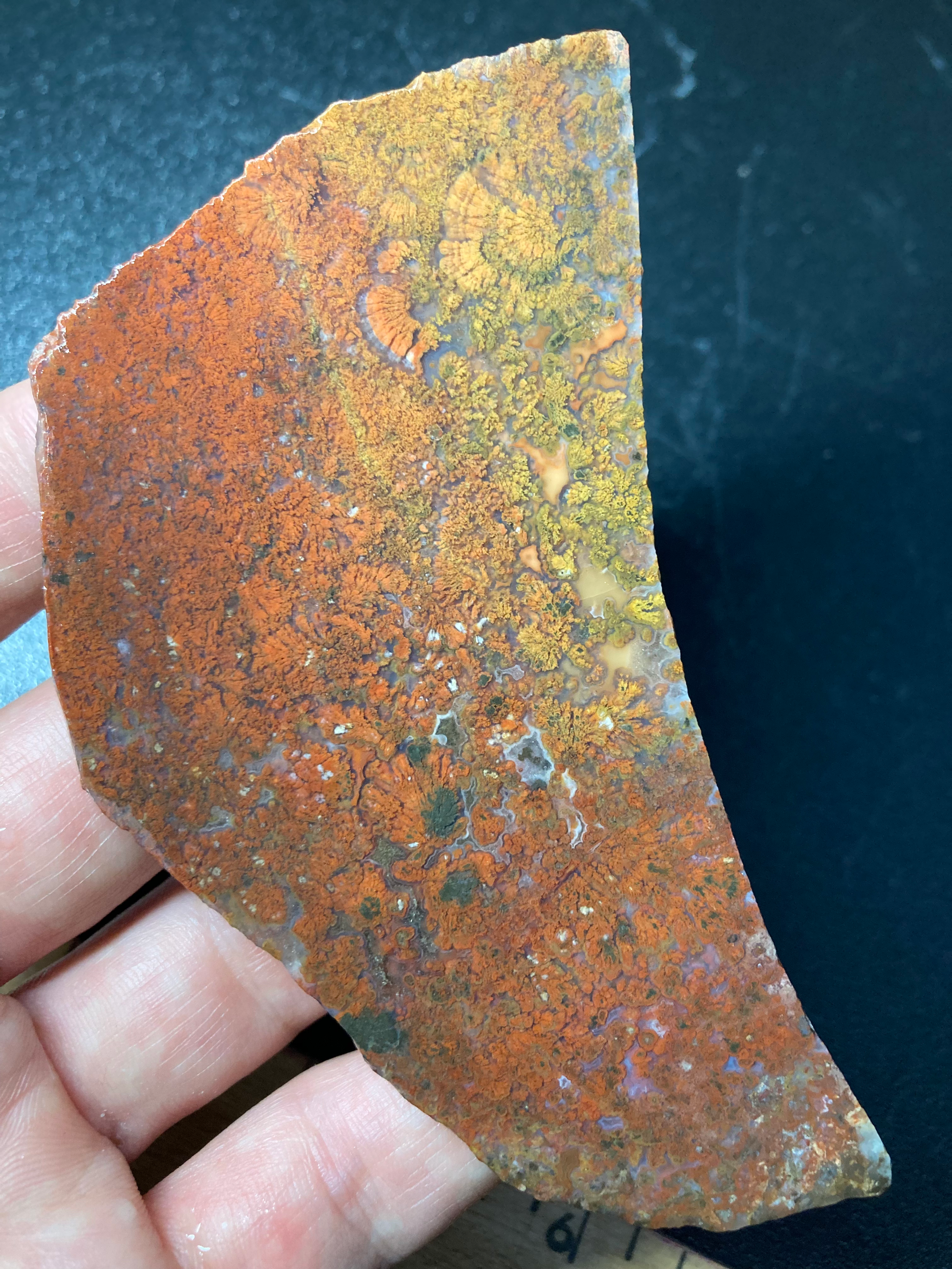 Classic multicolor Canadian River Plume agate, Texas - 48 gram