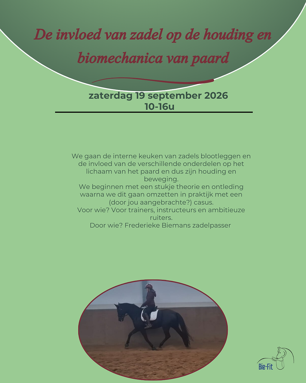 De invloed van het zadel op de houding en biomechanica van het paard