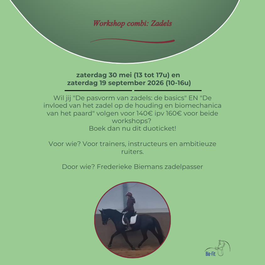 Duoticket Zadel Workshops
