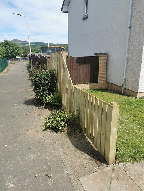 Fence panels surrounding domestic property
