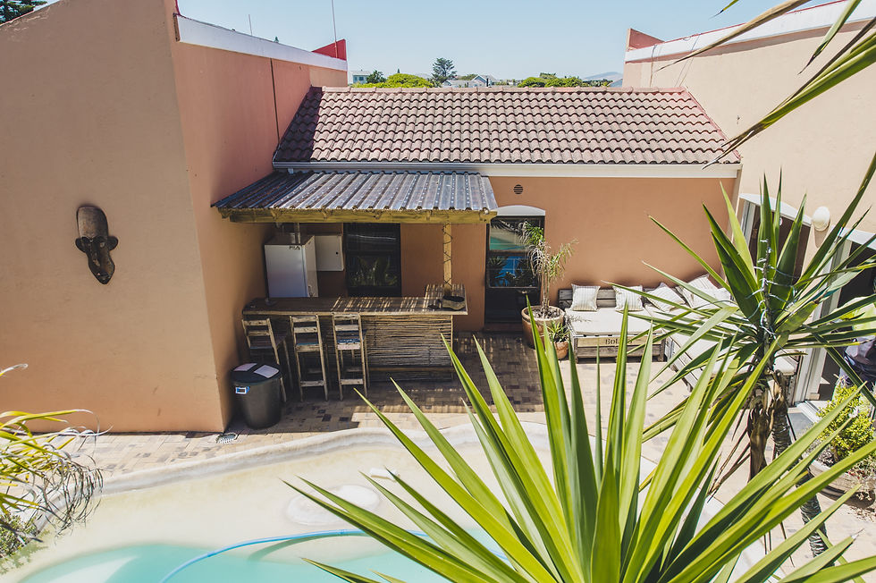 Cape Town Surf, Surf Hostel, Pool Bar