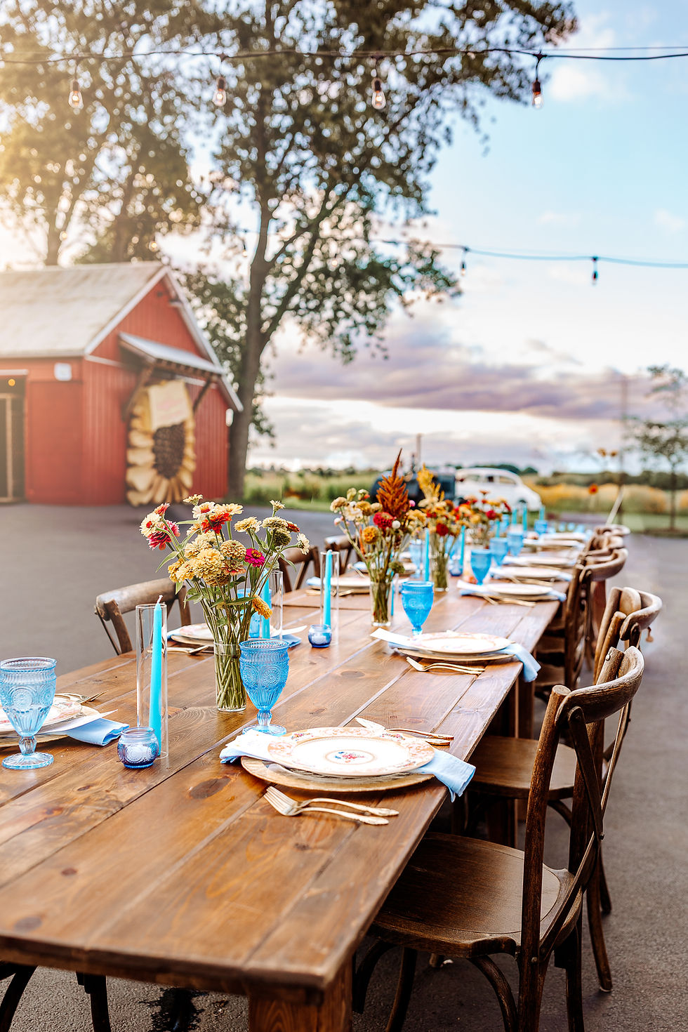 WildflowerHeaven-8.JPG