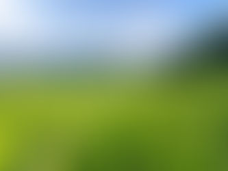 日本茶の茶葉農園を俯瞰した風景──霧に包まれた和束の茶畑とテロワールを映す緑