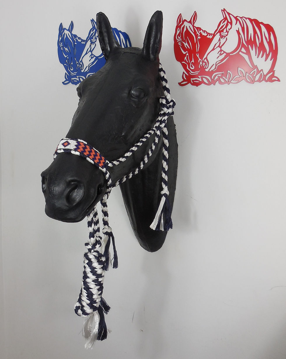 Thumbnail: Beaded Mule Tape Halters