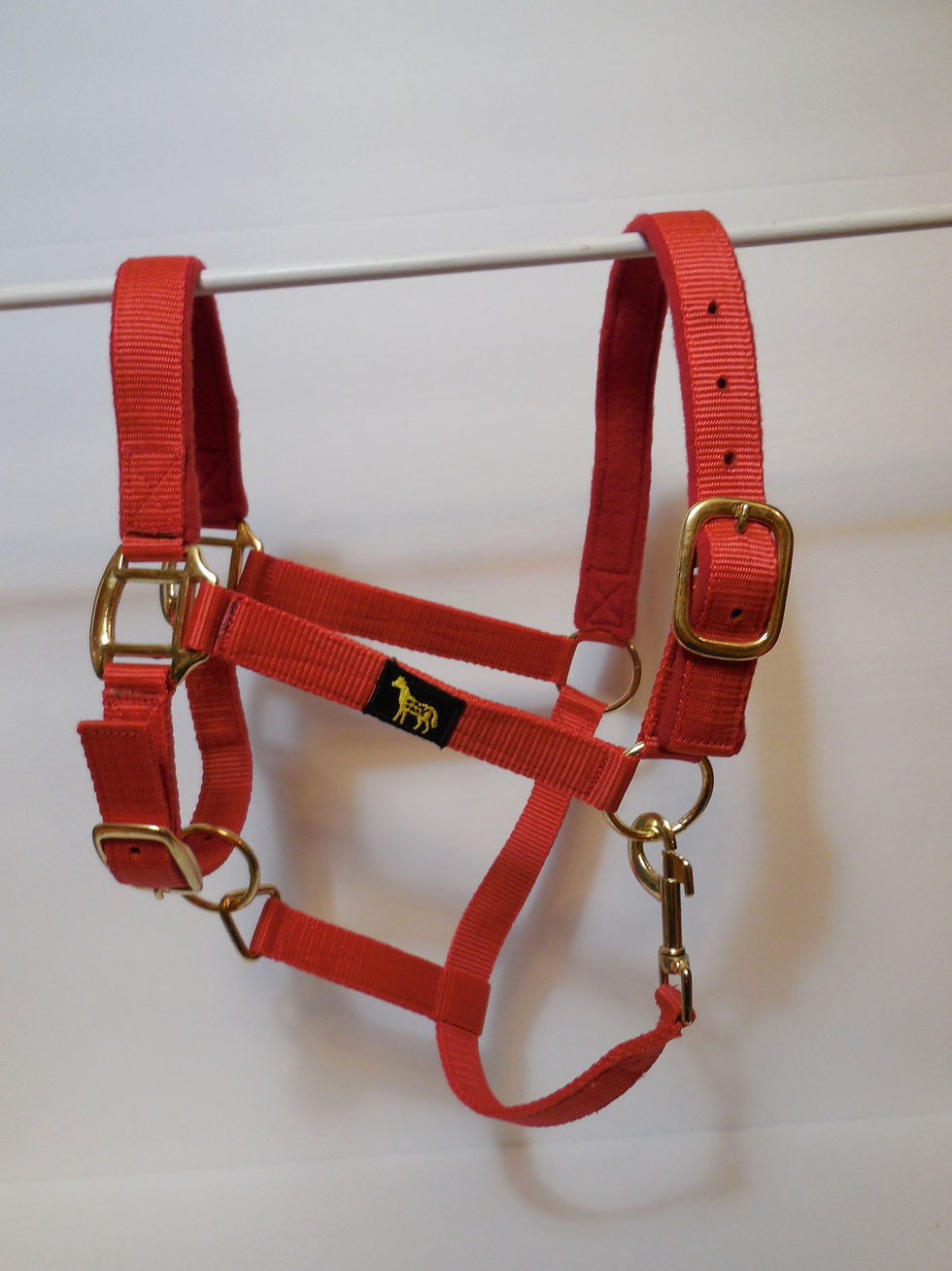 Thumbnail: Halter Pony With Soft Nose And Crown