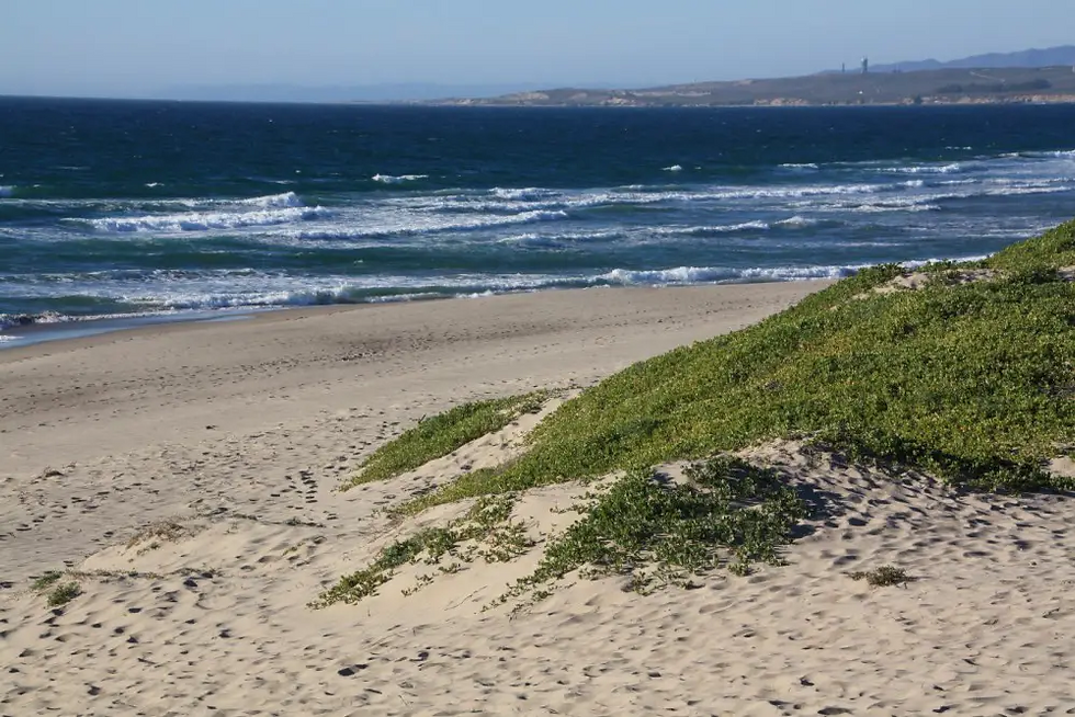 Surf Beach