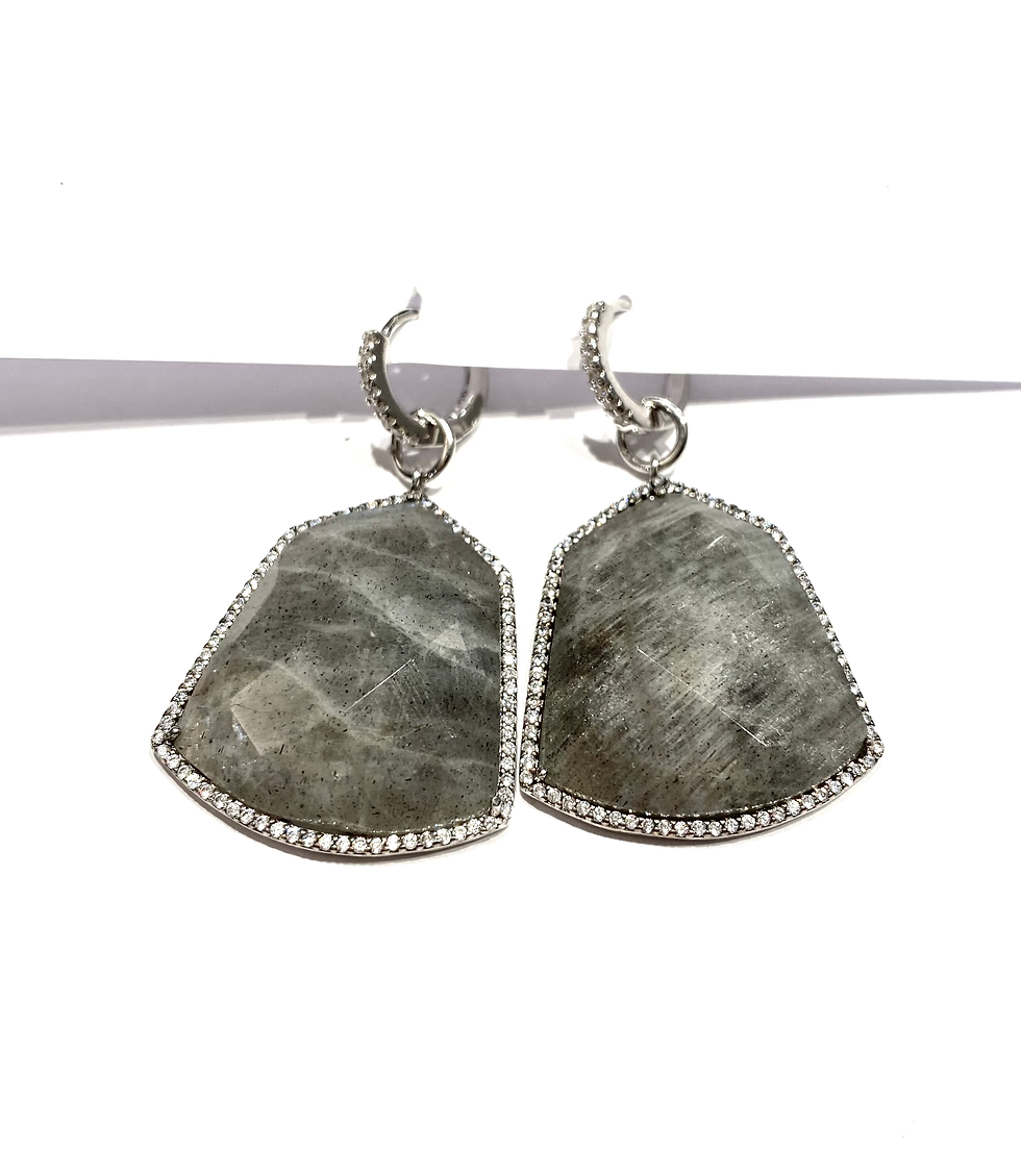 Orecchini in Argento 895306