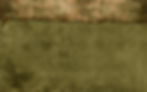 butterfly_background_5a.jpg