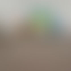 KGW Nadburzanki z Niemirowa- porządkowanie Krzyży przy wjeździe do Niemirowa