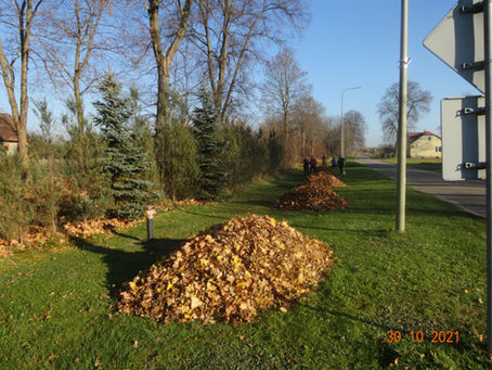 Sprzątanie cmentarza 30.10.2021