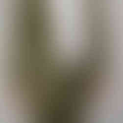 TCツイル生地のセットアップ