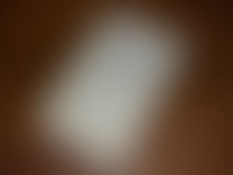 【2026年春夏新作生地】宇都宮で仕立てる最高級オーダースーツ｜ゼニア・ロロピアーナ＋英国ブランド新作生地入荷