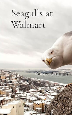 seagulls at walmart.jpg