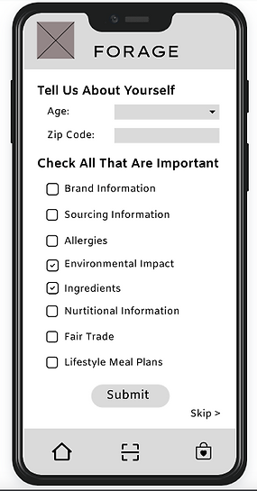 Version 1 Wireframe