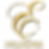Expat Concierge Interpreters logo