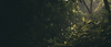 ace82442-f680-4988-83df-9aec81d7329b.png