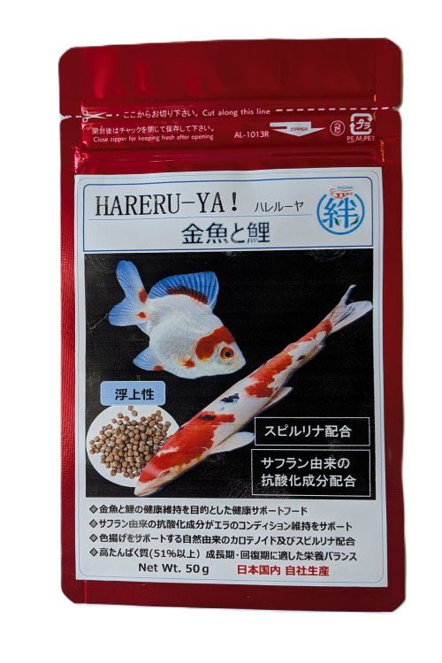 HARERU-YA!金魚と鯉