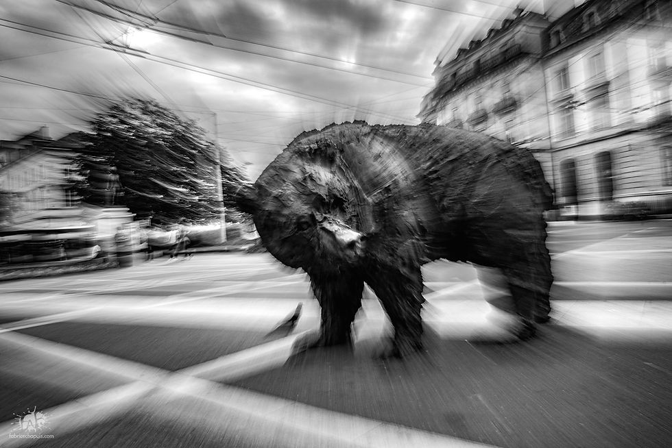 Concours "À ciel ouvert"