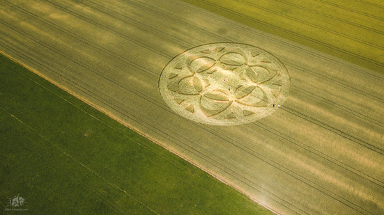 Crop Circle