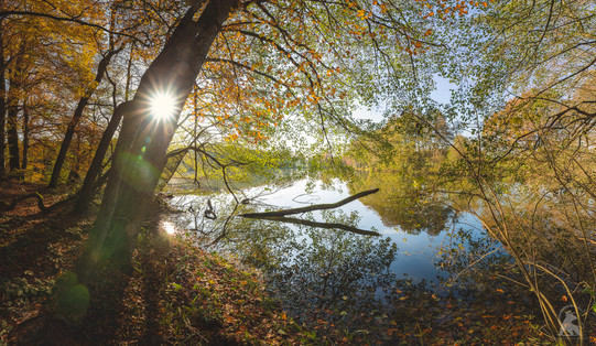 Etang de Bonfol