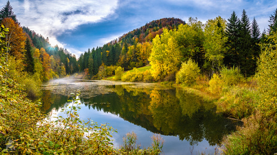 Etang de Bollement