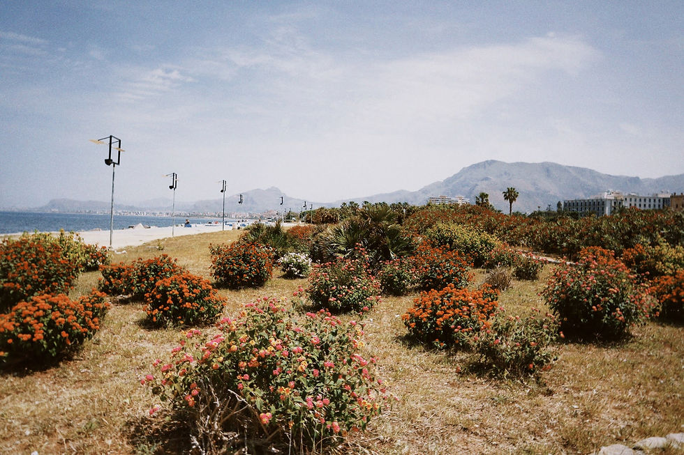 Палермо Сицилия