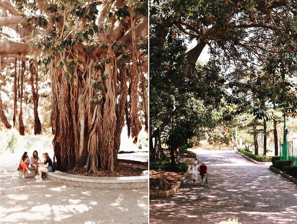 Палермо Сицилия