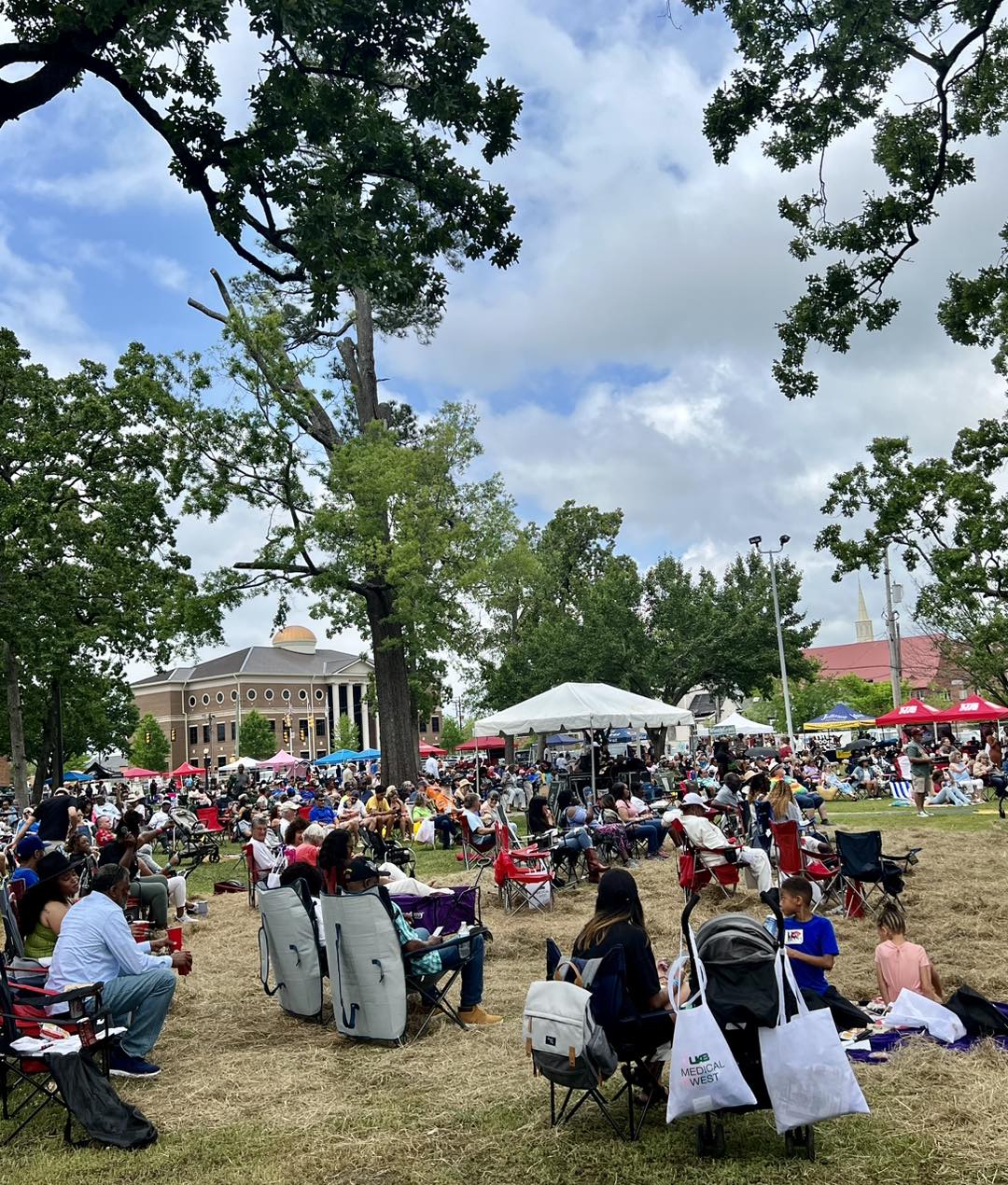 BBQ and Blues Festival crowd photo.jpg