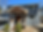 Residential Construction