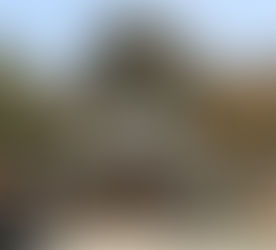 11/15(日)小村神社秋の大祭と駅から歩ける仁淀川散策【駅からウォーク2020in日高村】