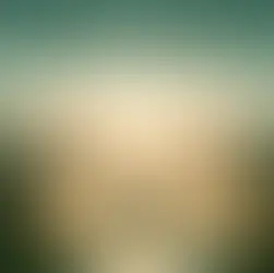 Buch Jetzt! Die Kraft der Gegenwart von Eckhart Tolle – Inspiration für mehr Achtsamkeit, innere Ruhe & bewusste Präsenz im Alltag.