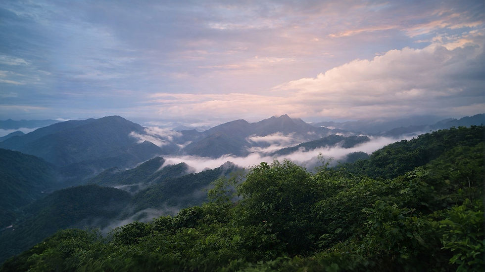 Daoistisches Retreat in Pinggau – Im Fluss des Dao zu Kraft und Langlebigkeit mit Andrew Couse