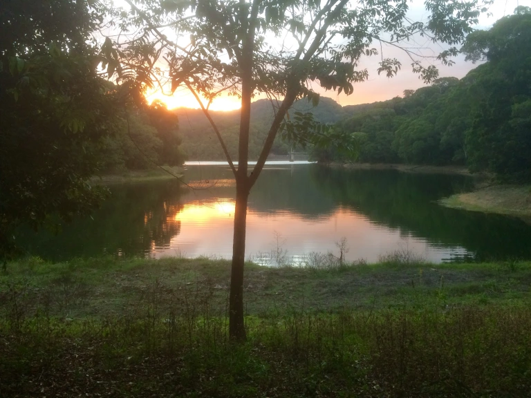 Ein malerischer See, umgeben von grünen Wiesen und dichtem Regenwald. Dieses Naturparadies dient als spiritueller Rückzugsort für Gudju Gudju, den Hüter des Waldes.